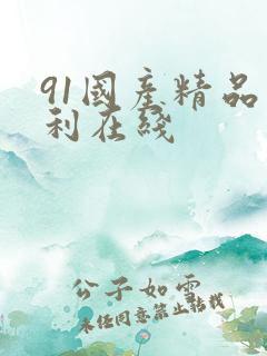 91国产精品福利在线