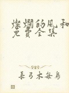 灿烂的风和海 免费全集