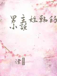 男主姓韩的所有小说