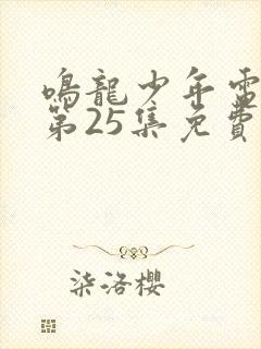 鸣龙少年电视剧第25集免费观看