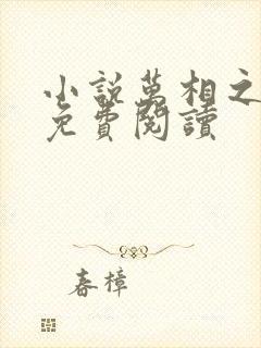 小说万相之王的免费阅读