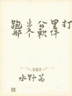 跑步公里打卡是哪个软件