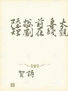 陆总前妻太傲娇短剧在线观看