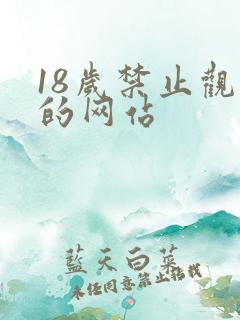 18岁禁止观看的网站