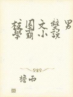 校园文双男主双学霸小说