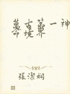 万古第一神李天命境界