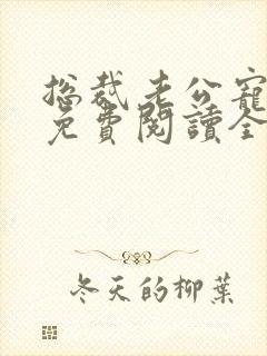 总裁老公宠不停免费阅读全文