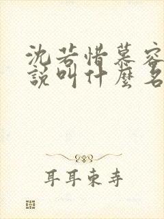 沈若惜慕容珩小说叫什么名字