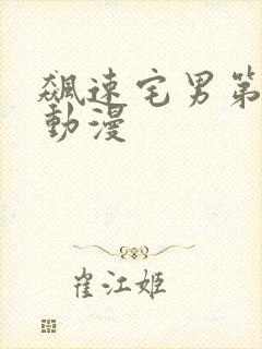 飙速宅男第三季动漫