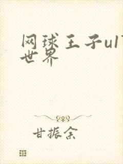 网球王子u17世界