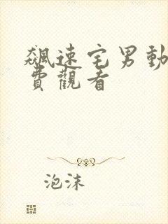 飙速宅男动漫免费观看