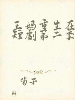 王妈重生在霸总短剧第二季