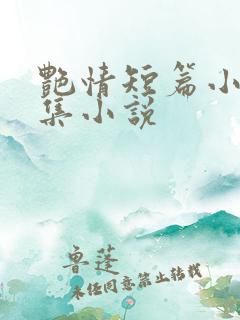 艳情短篇小说合集小说