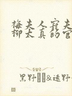 梅夫人宠夫日常柳太真的官配