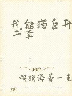 我能独自升级第二季