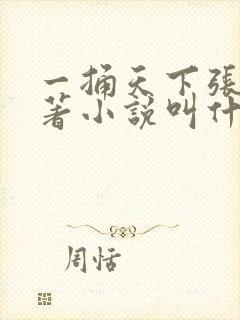 一捅天下张三原著小说叫什么