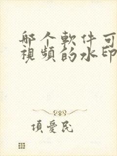 哪个软件可以去视频的水印?