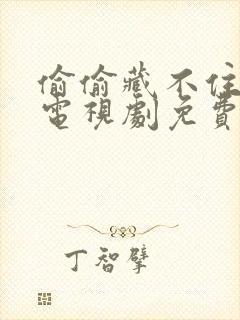 偷偷藏不住在线电视剧免费观看