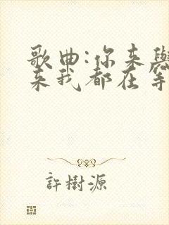 歌曲:你来与不来我都在等你