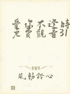 爱你不逢时短剧免费观看31集播放