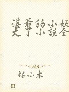 湛爷的小妖精长大了小说全文阅读