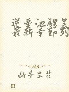 逆爱池骋吴所畏最新章节列表