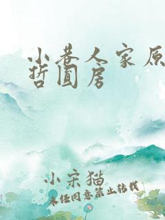 小巷人家原著冻哲圆房