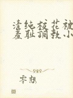 清纯校花被民工羞耻调教小说