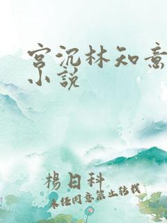 宫沉林知意正版小说