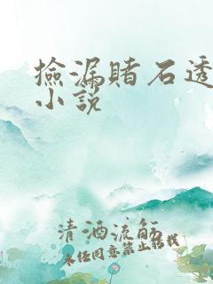 捡漏赌石透视眼小说