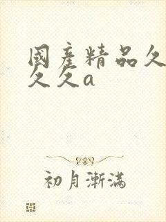 国产精品久久久久久a