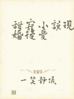 甜宠小说现言先婚后爱