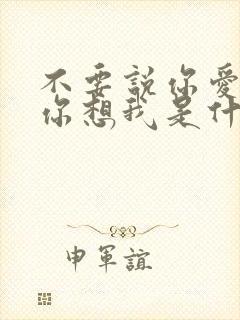 不要说你爱我,你想我是什么歌曲