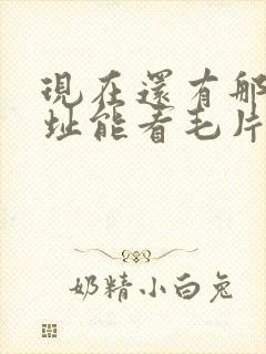 现在还有那个网址能看毛片