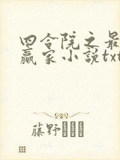 四合院之最后的赢家小说txt下载