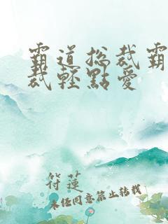 霸道总裁霸道总裁轻点爱