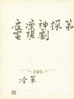 夜凛神探第一季电视剧