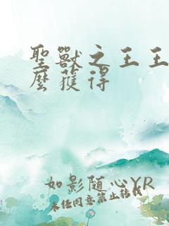 圣兽之王王斧怎么获得