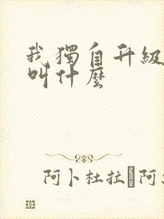 我独自升级漫画叫什么