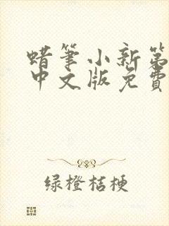 蜡笔小新第七季中文版免费观看