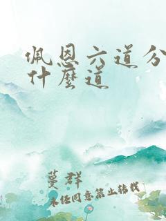 佩恩六道分别是什么道