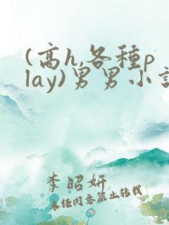 (高h,各种play)男男小说