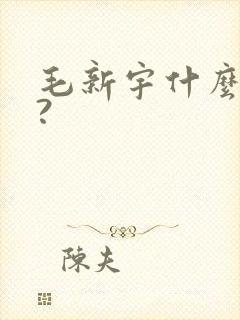 毛新宇什么级别?