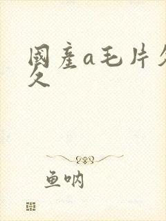 国产a毛片久久久