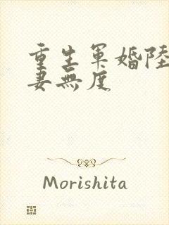 重生军婚陆少宠妻无度