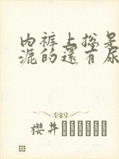 内裤上总是湿漉漉的还有尿骚味怎么回事