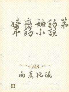 暗恋她的第十一年的小说