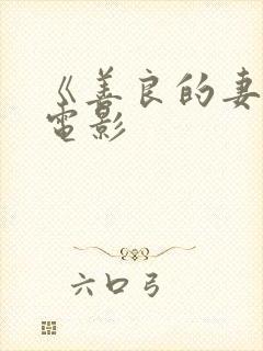 《善良的妻子》电影