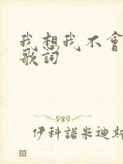 我想我不会爱你歌词