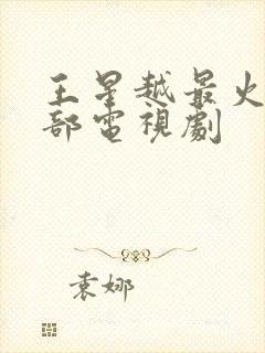 王星越最火的十部电视剧